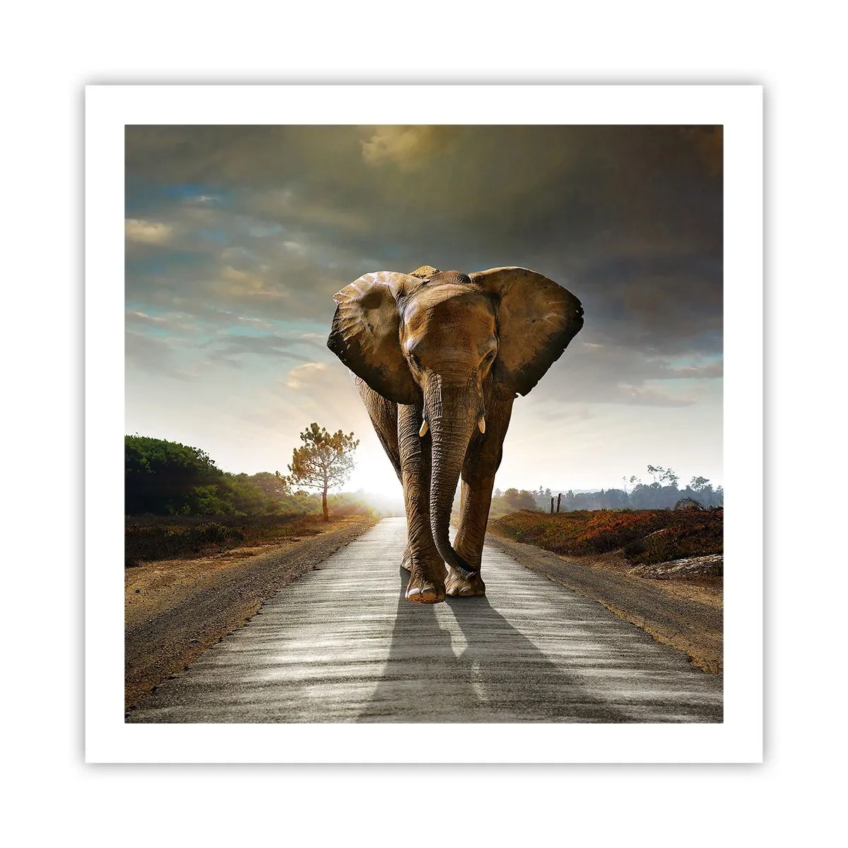 Póster - Y para nada en un almacén de porcelana - 60x60 cm