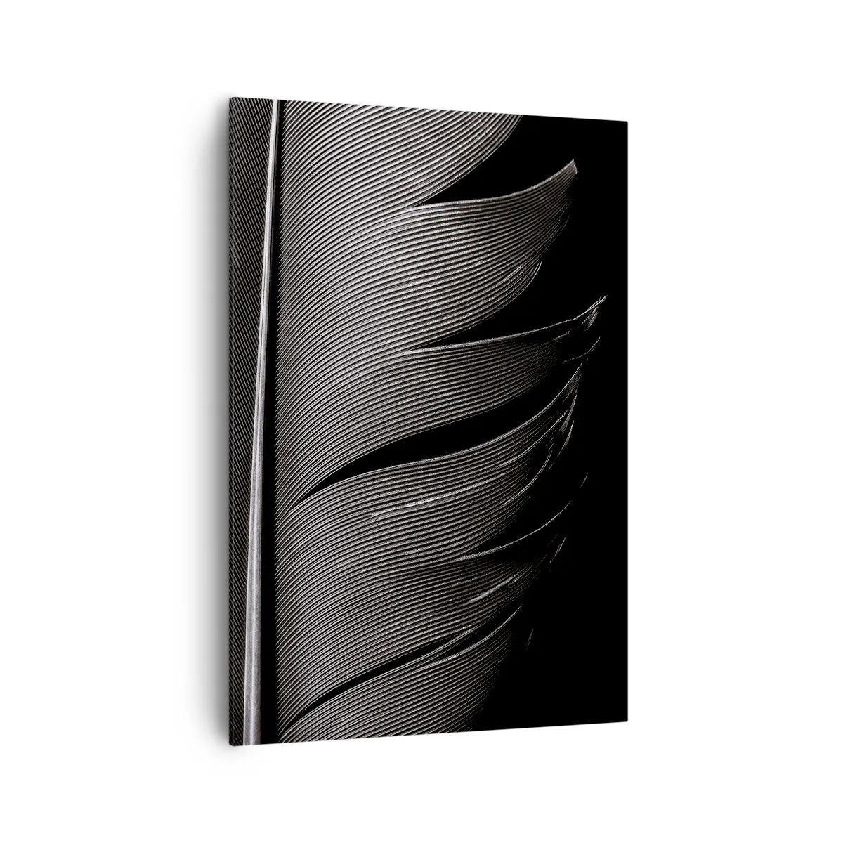 Cuadro sobre lienzo - Impresión de Imagen - Textura de plumas en blanco y negro en un estilo minimalista. - 70x100cm - Pluma - una construcción maravillosa - Decoración de pared moderna para salón y dormitorio ARTTOR