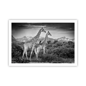 Póster - La clase alta de África - 91x61 cm