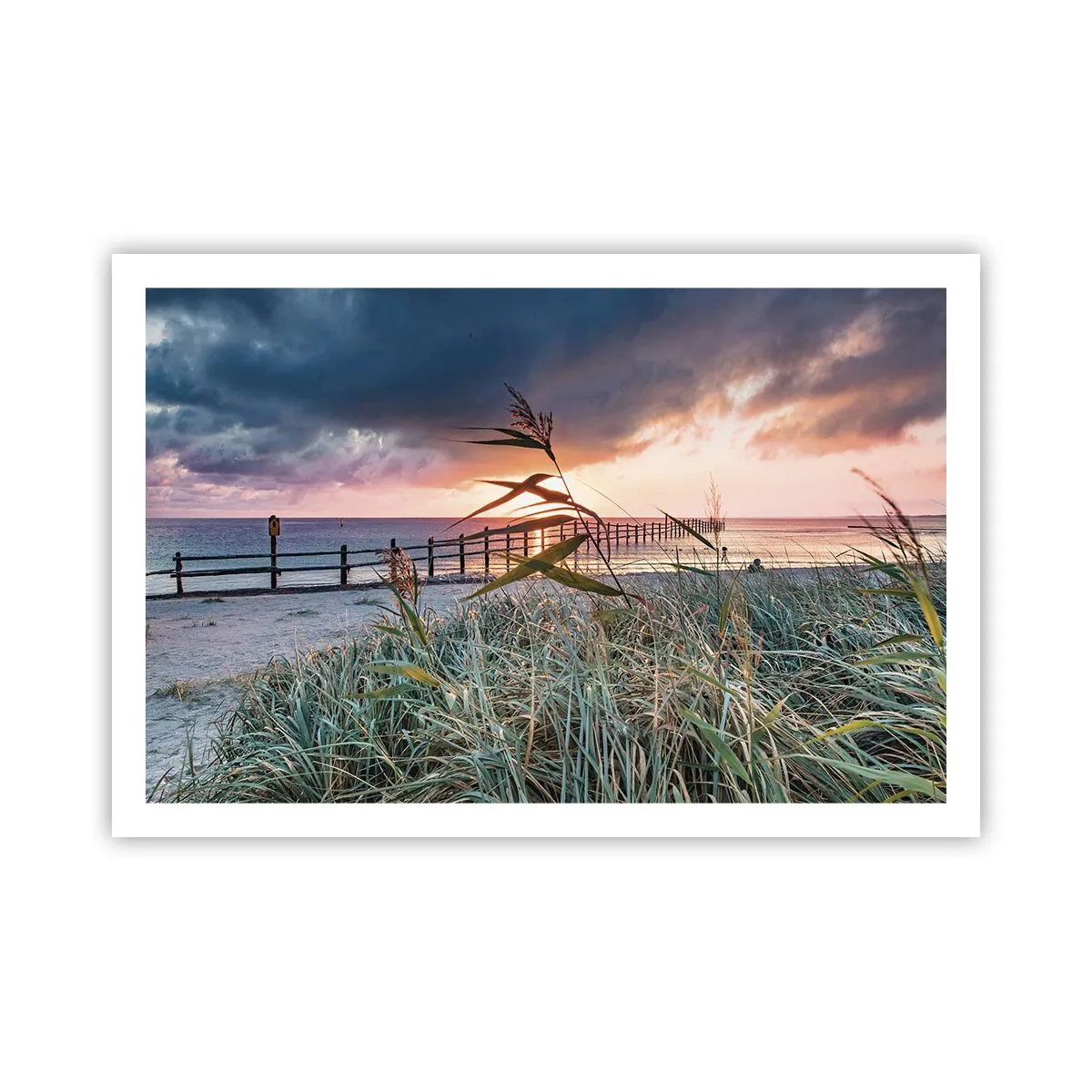 Póster - Bailando con el viento - 91x61 cm