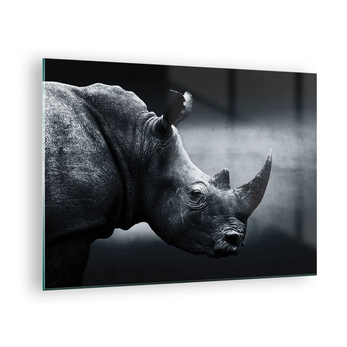 Cuadro sobre vidrio - Impresiones sobre Vidrio - Fotografía en blanco y negro de un rinoceronte. - 70x50cm - Perfil derecho - Decoración de pared moderna para salón y dormitorio ARTTOR