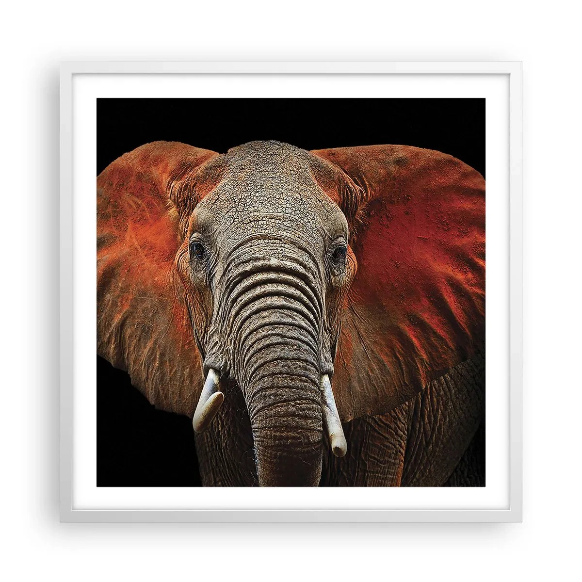 Póster en marco blanco - Soy salvaje, ¿y tú? - 60x60 cm