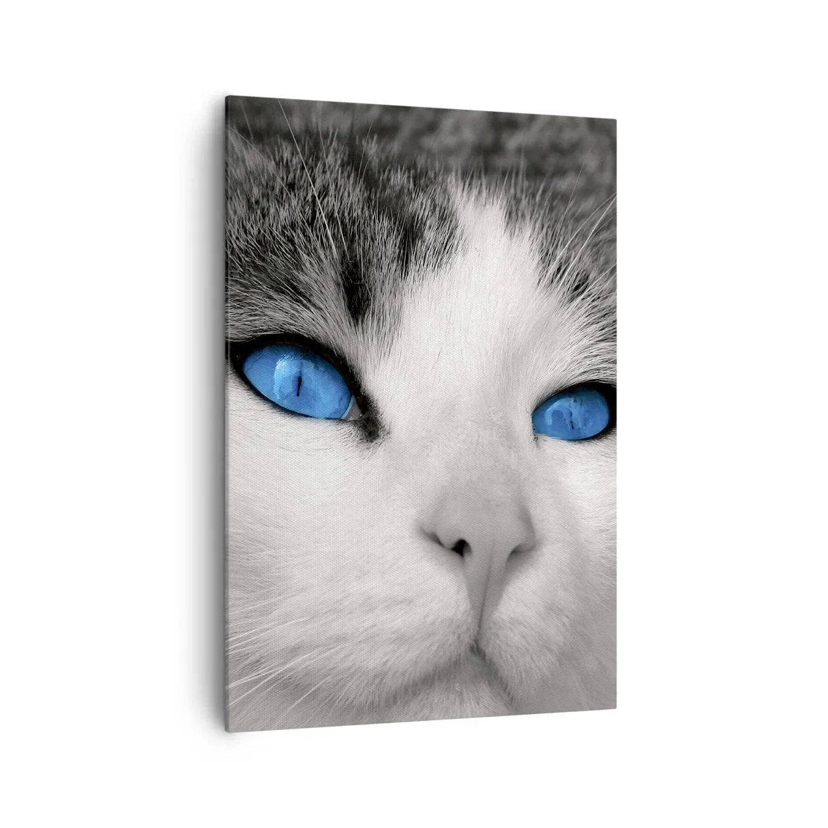 Cuadro sobre lienzo - Impresión de Imagen - Retrato de un gato con ojos azules en estilo blanco y negro. - 70x100cm - Inusual de ojos azules - Decoración de pared moderna para salón y dormitorio ARTTOR