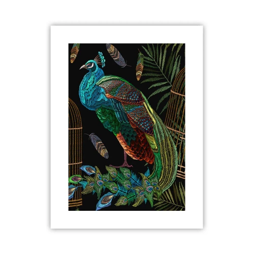 Póster - Con plumajes reales - 30x40 cm