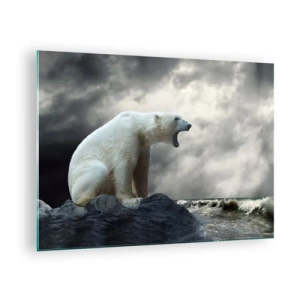 Cuadro sobre vidrio - Impresiones sobre Vidrio - Un oso polar contra un cielo tormentoso. - 70x50cm - El solitario rey del Ártico - Decoración de pared moderna para salón y dormitorio ARTTOR