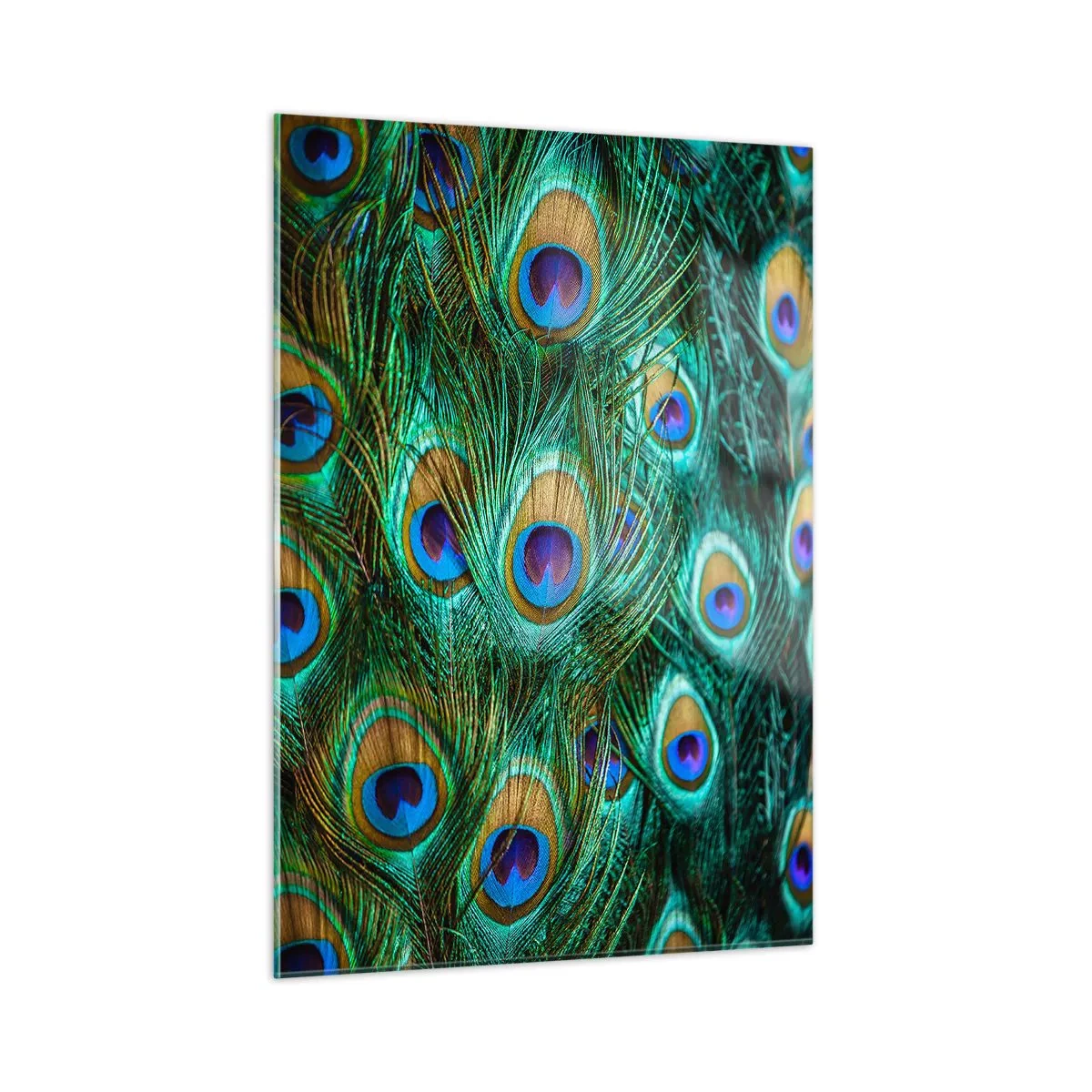 Cuadro sobre vidrio - Impresiones sobre Vidrio - Detalle de plumas de pavo real con ojos distintivos. - 50x70cm - Mirada de pavo real - Decoración de pared moderna para salón y dormitorio ARTTOR