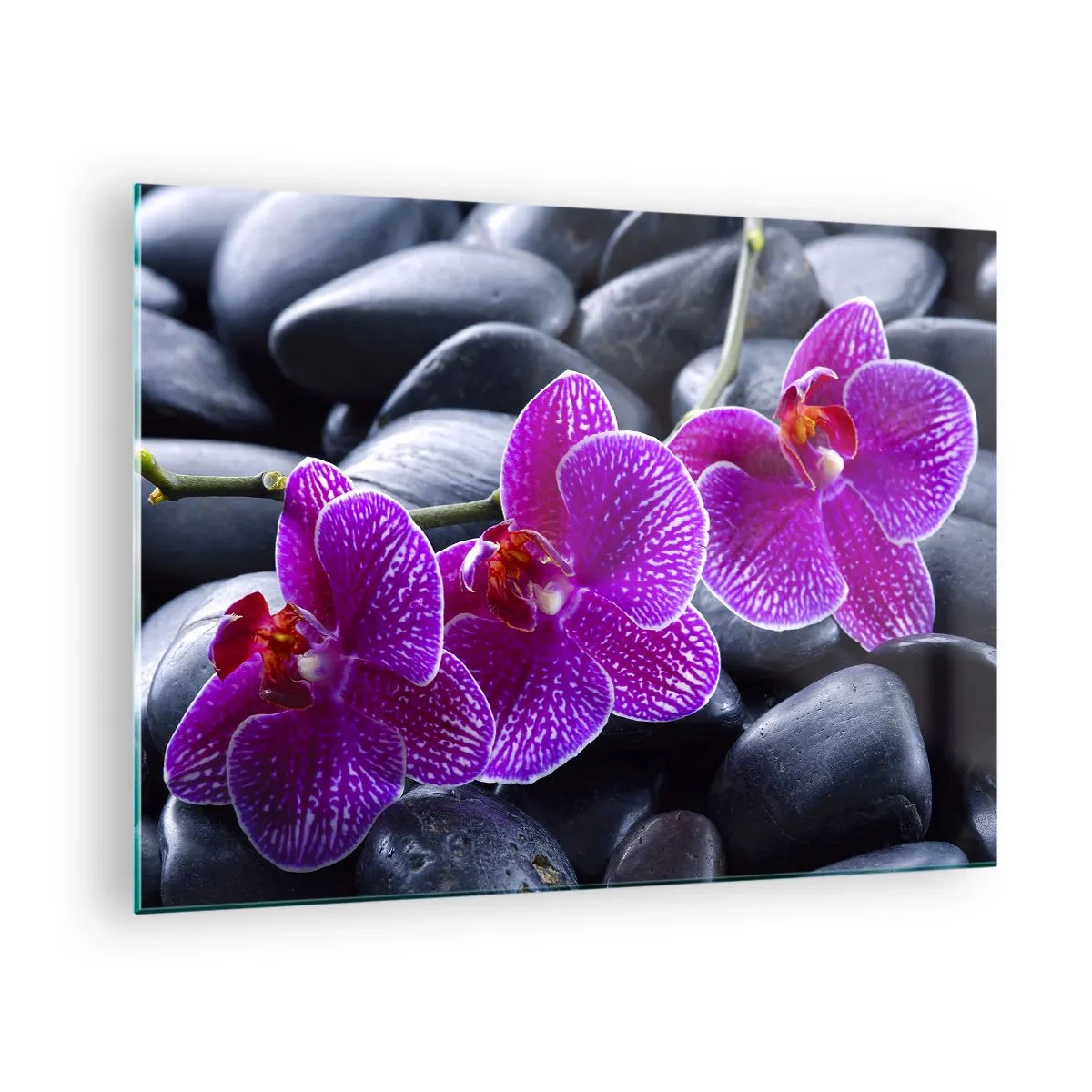 Cuadro sobre vidrio - Impresiones sobre Vidrio - Orquídeas moradas sobre un fondo de piedras lisas. - 70x50cm - Las piedras brillan con deleite - Decoración de pared moderna para salón y dormitorio ARTTOR