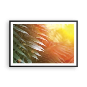Póster en marco negro - Mañana en la selva - 91x61 cm