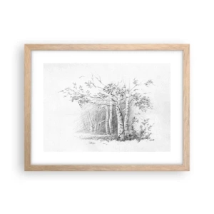 Póster en marco roble claro - La luz de un bosque de abedules - 40x30 cm