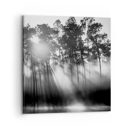 Cuadro sobre lienzo - Impresión de Imagen - Sol imparable - 70x70 cm