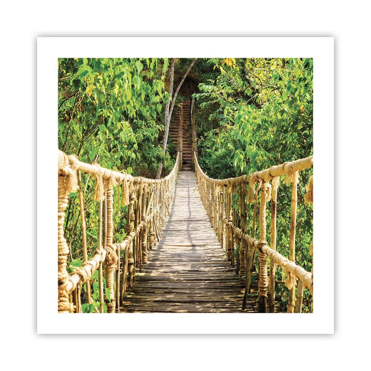 Póster - Suspendido en verde - 50x50 cm