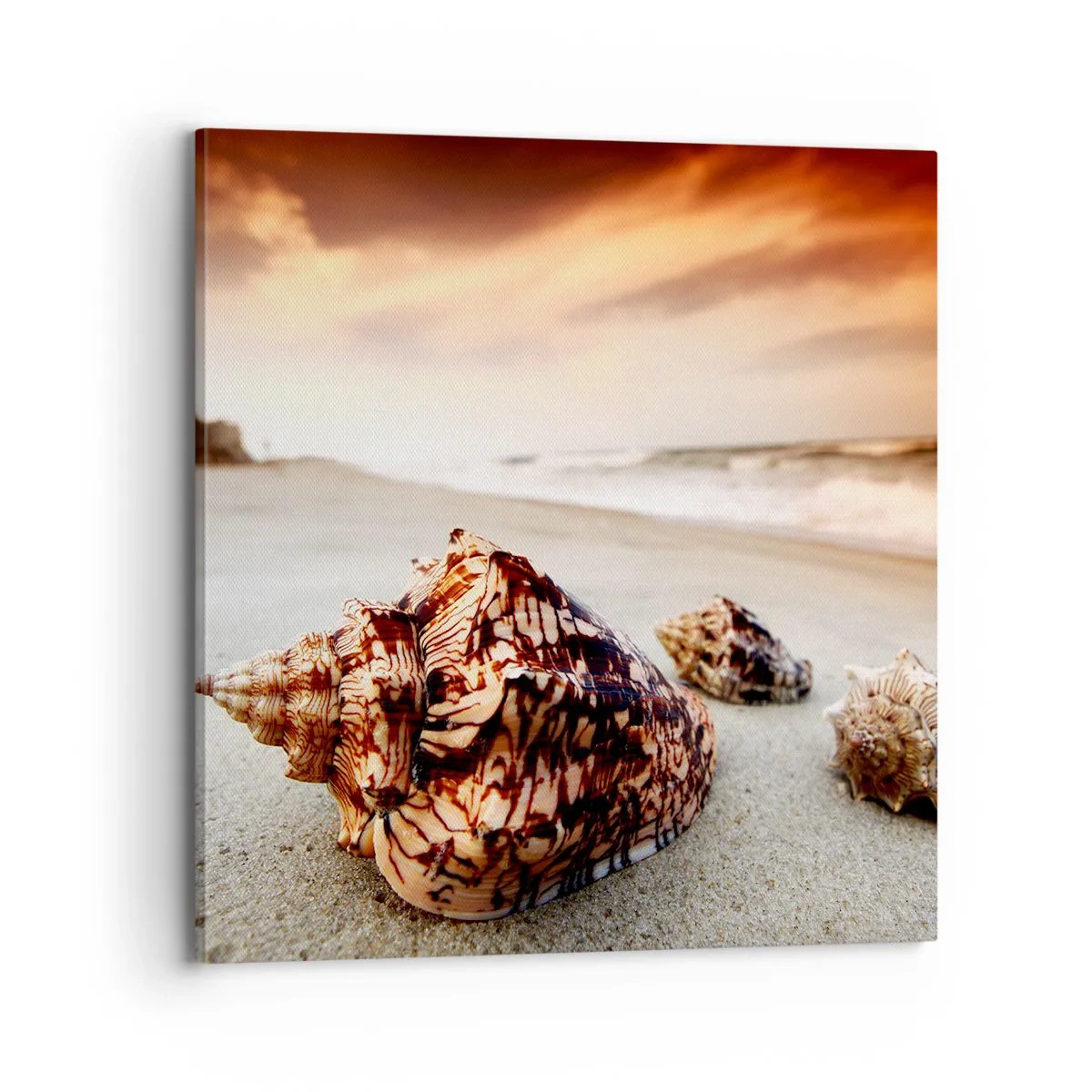 Cuadro sobre lienzo - Impresión de Imagen - Los exiliados de las olas - 70x70 cm