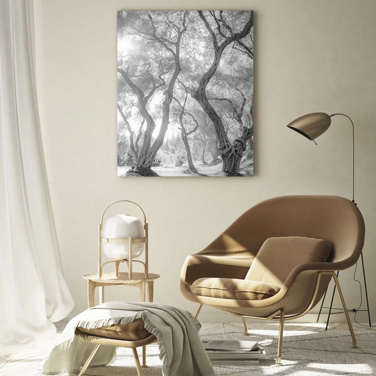 Cuadro sobre vidrio - Impresiones sobre Vidrio - Vista en blanco y negro de árboles en un olivar con rayos de sol. - 70x100cm - En un olivar - Decoración de pared moderna para salón y dormitorio ARTTOR