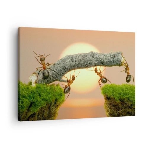Cuadro sobre lienzo - Impresión de Imagen - Hormigas construyendo un puente de ramas con el sol poniente como telón de fondo. - 70x50cm - Trabajar juntos con alegría - Decoración de pared moderna para salón y dormitorio ARTTOR