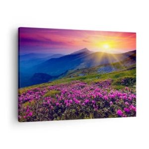 Cuadro sobre lienzo - Impresión de Imagen - Un prado florido con vistas a las montañas durante la puesta de sol. - 70x50cm - ... Y el aroma a hierbas está por todas partes - Decoración de pared moderna para salón y dormitorio ARTTOR