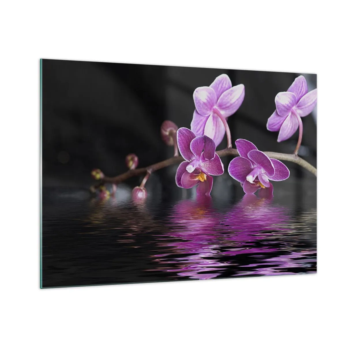 Cuadro sobre vidrio - Impresiones sobre Vidrio - Orquídeas púrpuras reflejadas en el agua. - 100x70cm - Un reflejo lila de la belleza - Decoración de pared moderna para salón y dormitorio ARTTOR