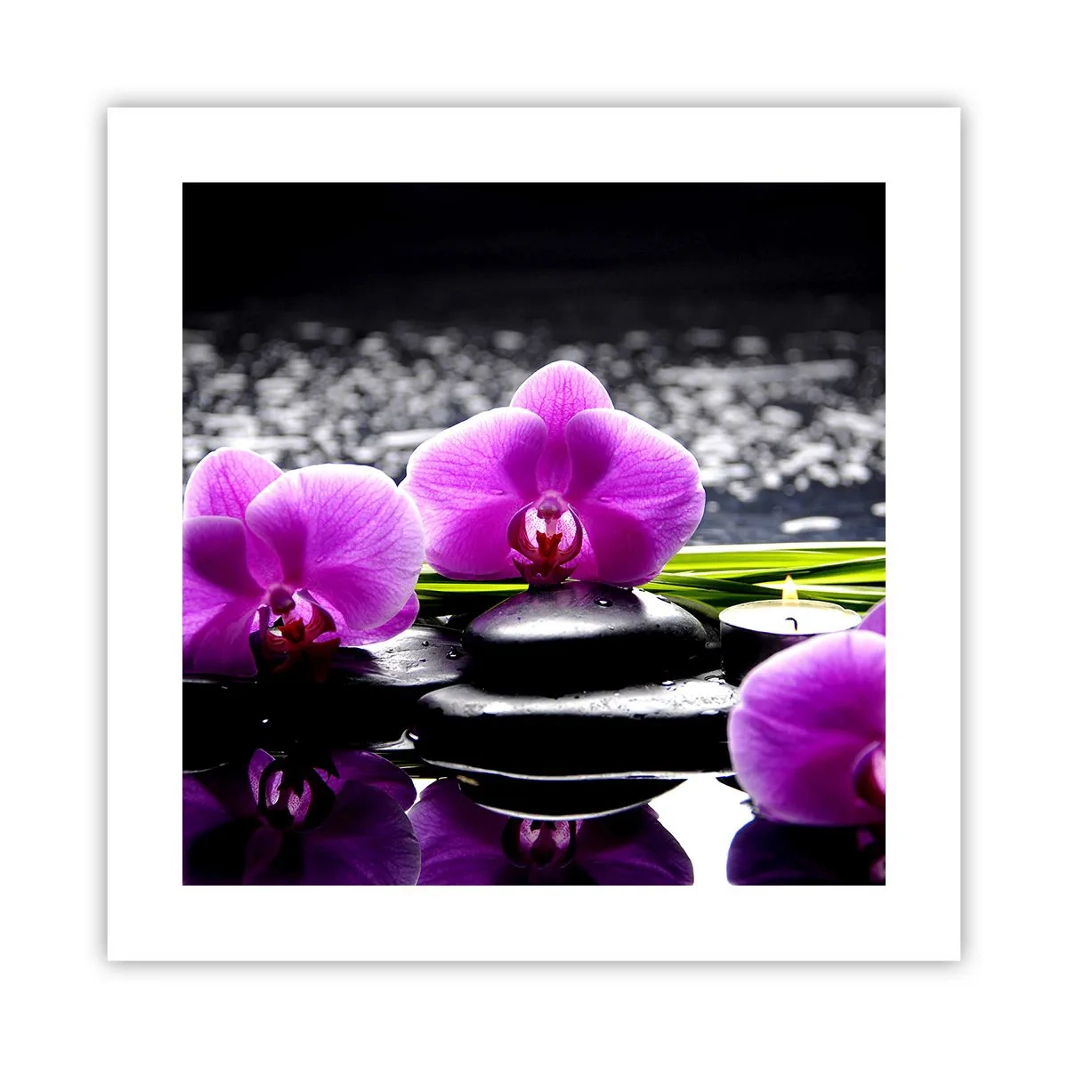 Póster - Ahogarse en la paz y la tranquilidad - 40x40 cm