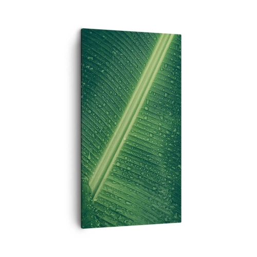 Cuadro sobre lienzo - Impresión de Imagen - Estructura del verde - 45x80 cm