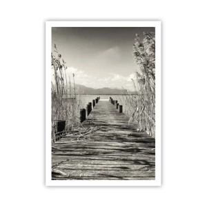 Póster - En la quietud de los juncos - 70x100 cm