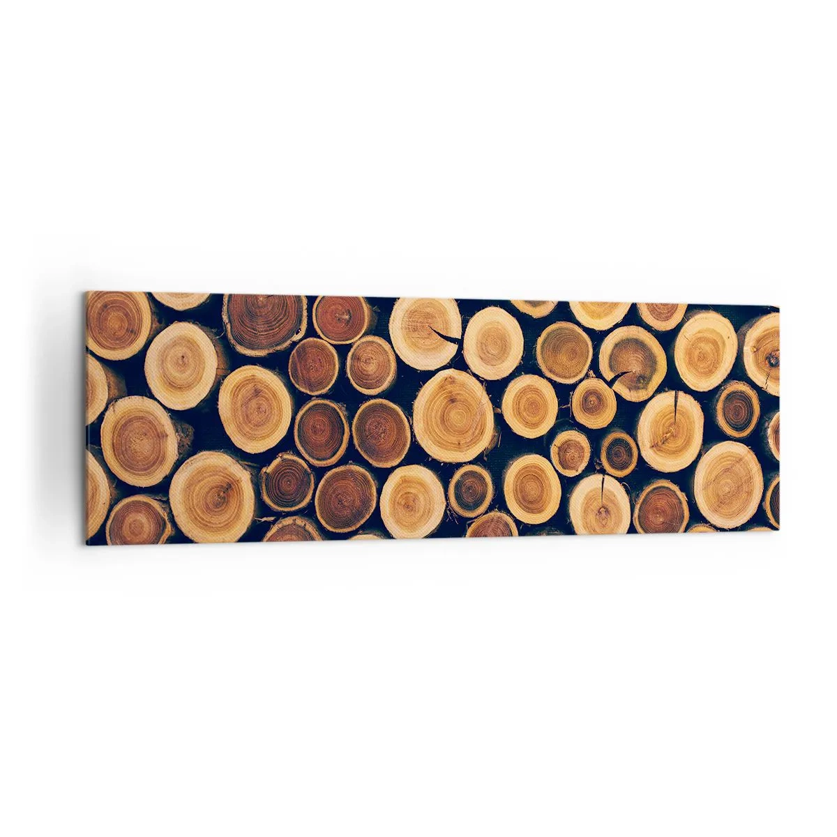 Cuadro sobre lienzo - Impresión de Imagen - Patrón elaborado a partir de secciones transversales de troncos de madera. - 160x50cm - ¿Qué edad tengo? - Decoración de pared moderna para salón y dormitorio ARTTOR