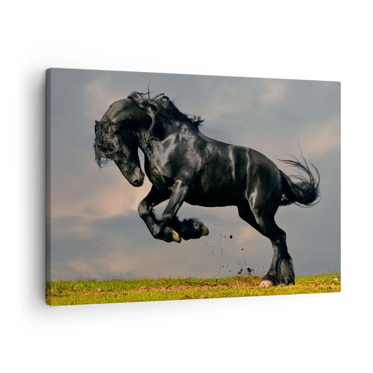 Cuadro sobre lienzo - Impresión de Imagen - Un caballo oscuro en un salto dinámico contra el cielo. - 70x50cm - Hermoso y libre - Decoración de pared moderna para salón y dormitorio ARTTOR