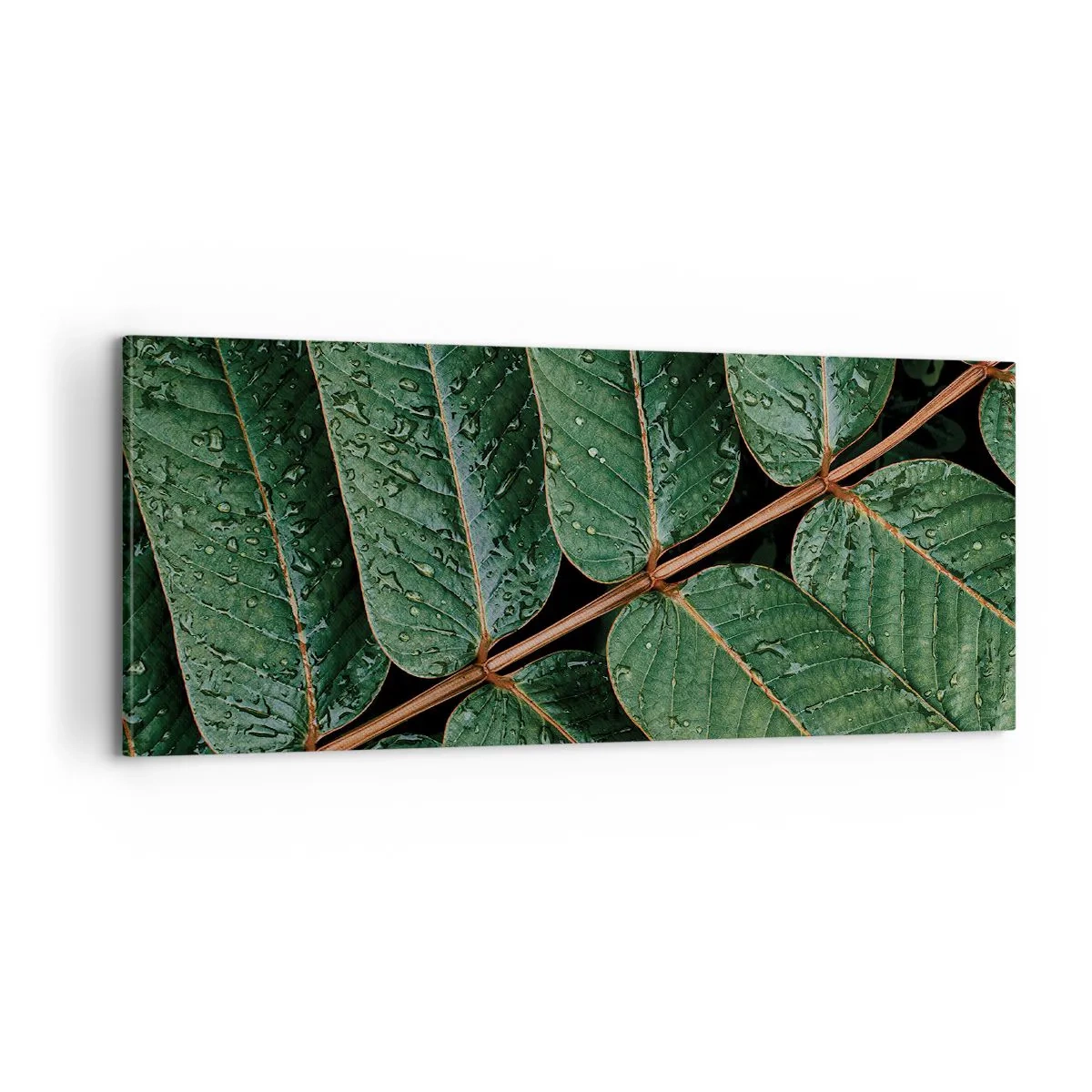 Cuadro sobre lienzo - Impresión de Imagen - En un ritmo verde - 100x40 cm