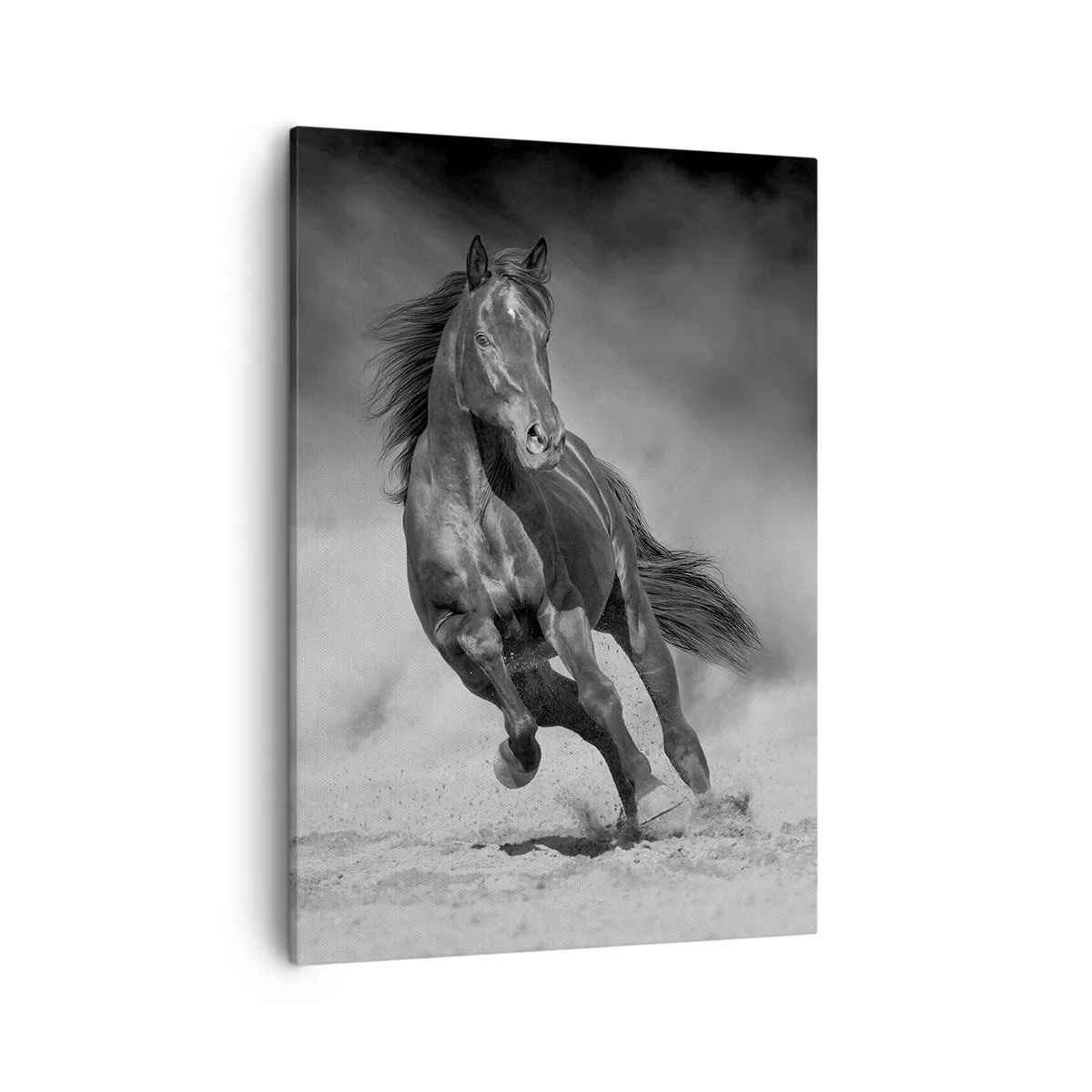 Cuadro sobre lienzo - Impresión de Imagen - Un caballo blanco y negro galopando por la arena. - 50x70cm - Digno del propio emir - Decoración de pared moderna para salón y dormitorio ARTTOR