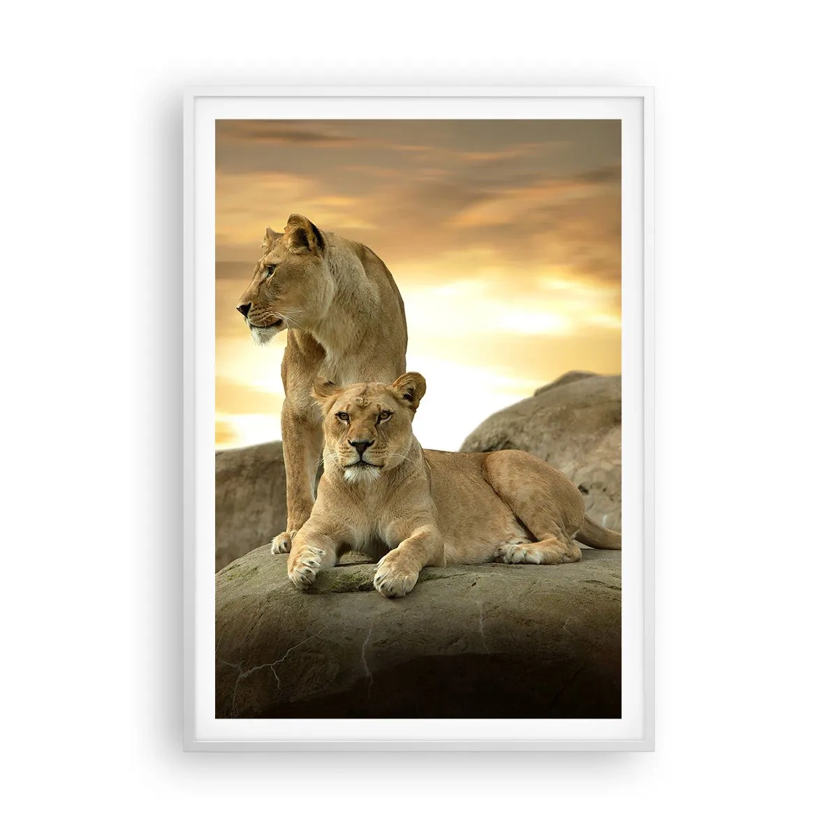 Póster en marco blanco - Majestuosidad real - 70x100 cm
