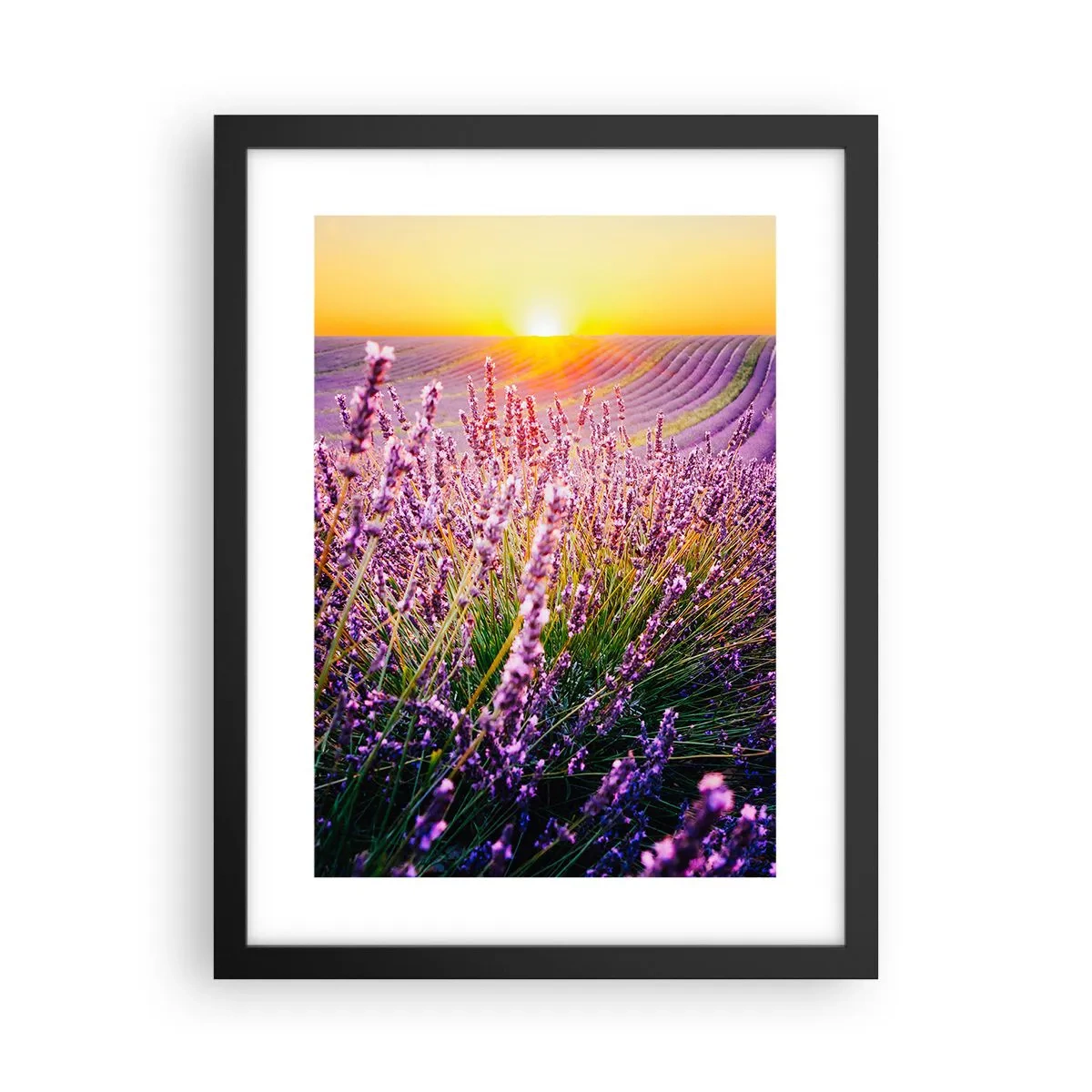 Póster en marco negro - Pradera fragante - 30x40 cm