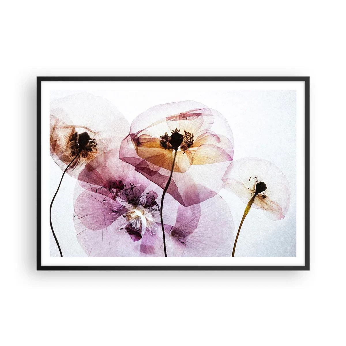 Póster en marco negro - Delicadas flores transparentes en tonos pastel. - 100x70cm - Cuerpo de flor - Decoración de pared moderna para salón y dormitorio ARTTOR