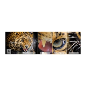 Muestra de fotomural autoadhesivo Deluxe Sticker - ¡Atrás, te lo advierto! - animales, leopardo, gato salvaje - 100x30 cm
