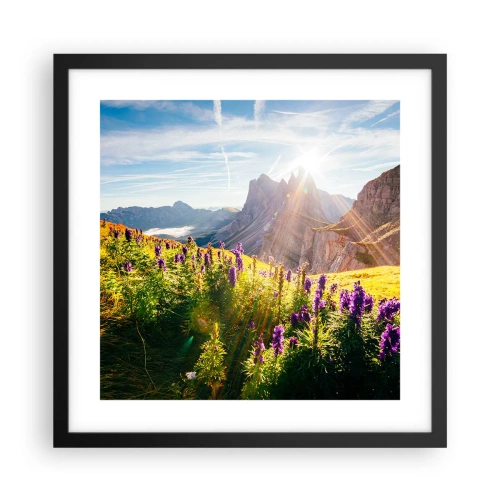 Póster en marco negro - La vida secreta de las hierbas - 40x40 cm