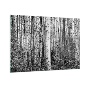 Cuadro sobre vidrio - Impresiones sobre Vidrio - Los abedules blancos y negros crean un denso paisaje forestal. - 100x70cm - Columnas de abedules - Decoración de pared moderna para salón y dormitorio ARTTOR