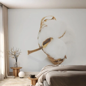 Fotomural Premium Canvas - Suave por naturaleza - Algodón, minimalista, Flor - 250x175 cm