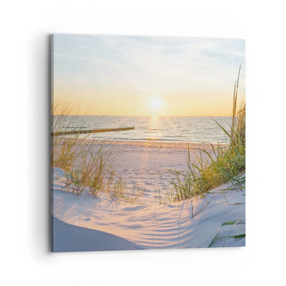 Cuadro sobre lienzo - Impresión de Imagen - El sonido del mar, el canto de los pájaros, una playa virgen entre las dunas... - 70x70 cm
