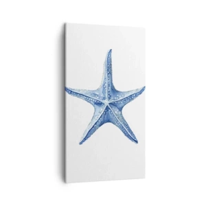 Cuadro sobre lienzo - Impresión de Imagen - Estrella de mar - 45x80 cm