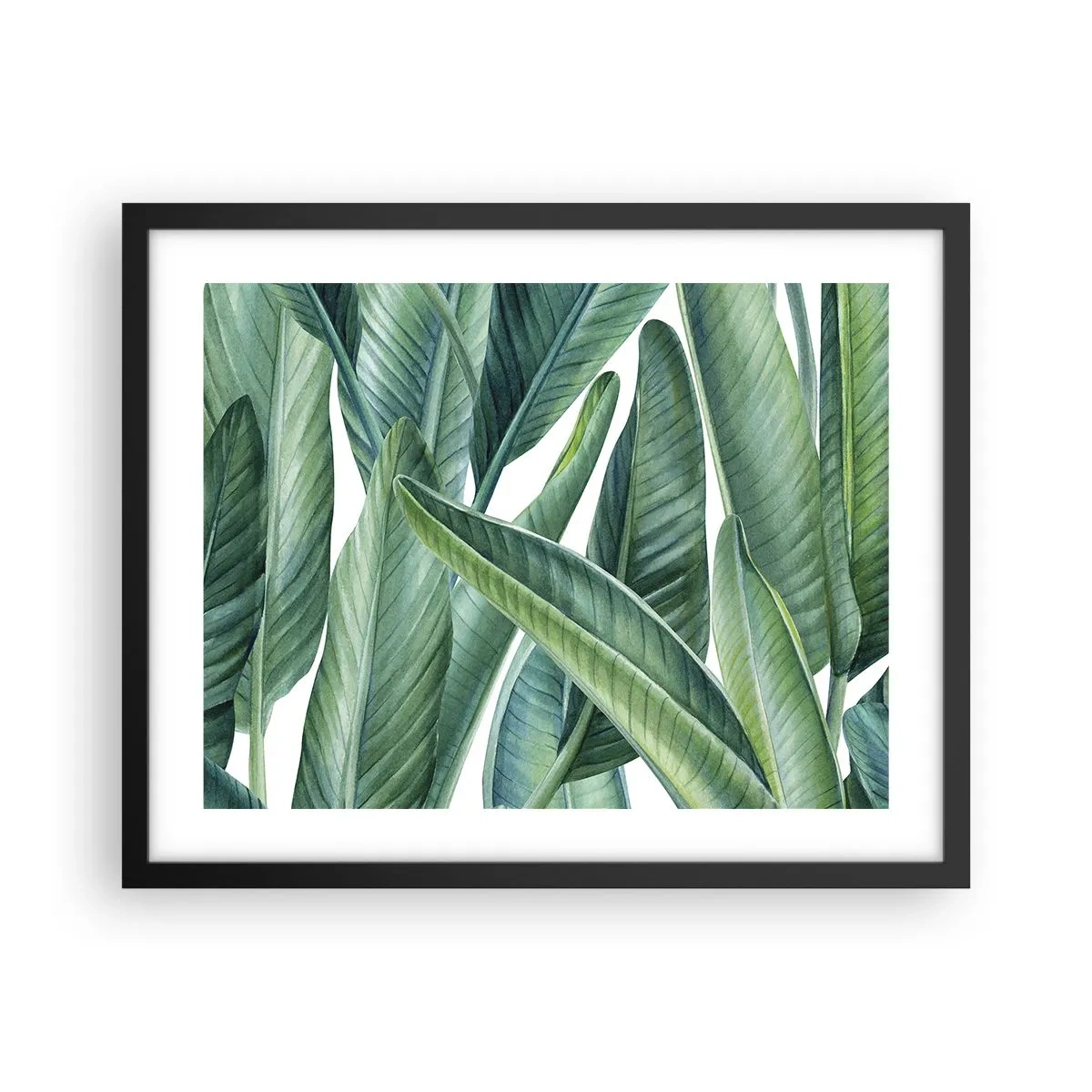 Póster en marco negro - Vegetación en estado puro - 50x40 cm