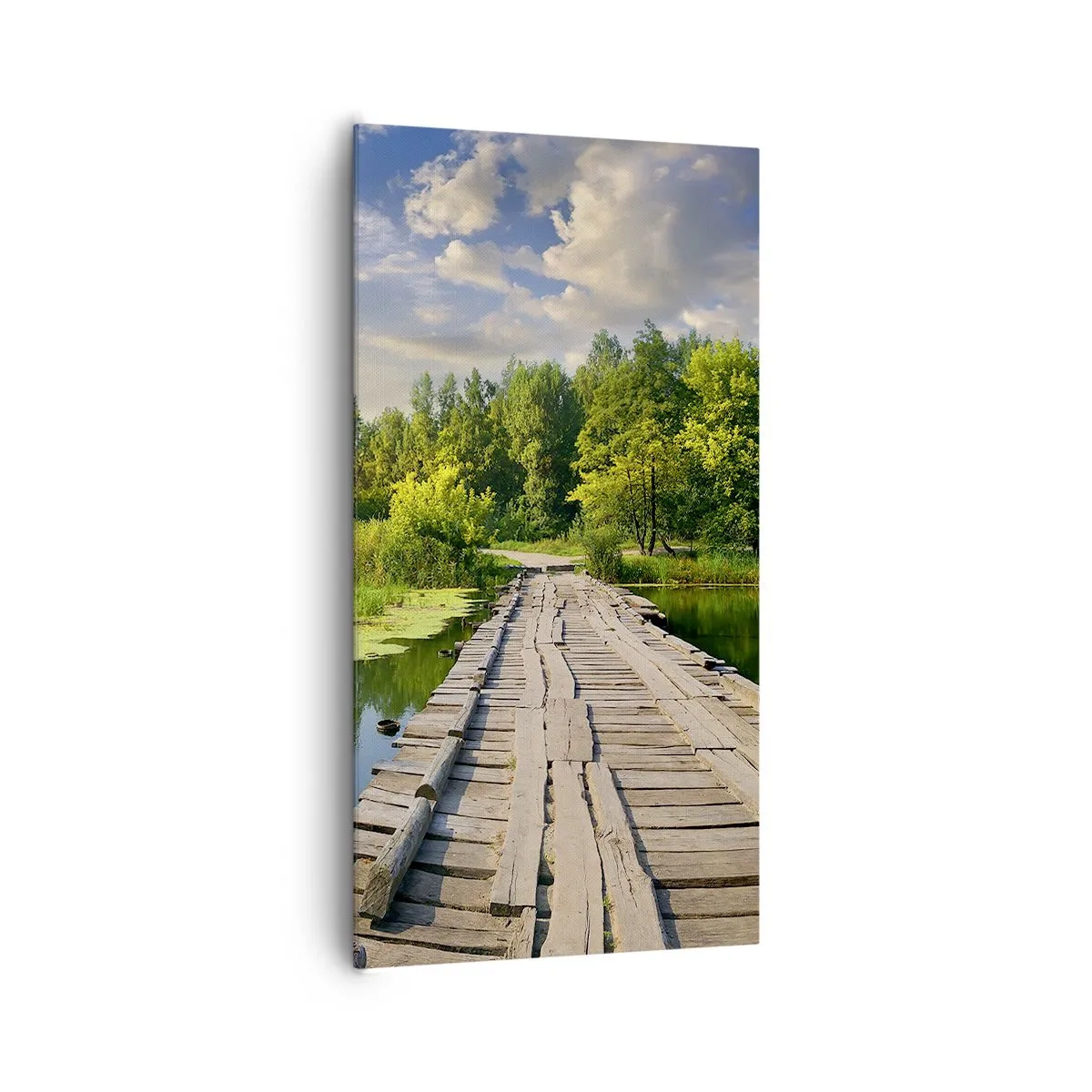 Cuadro sobre lienzo - Impresión de Imagen - Verano, verano en todas partes - 65x120 cm