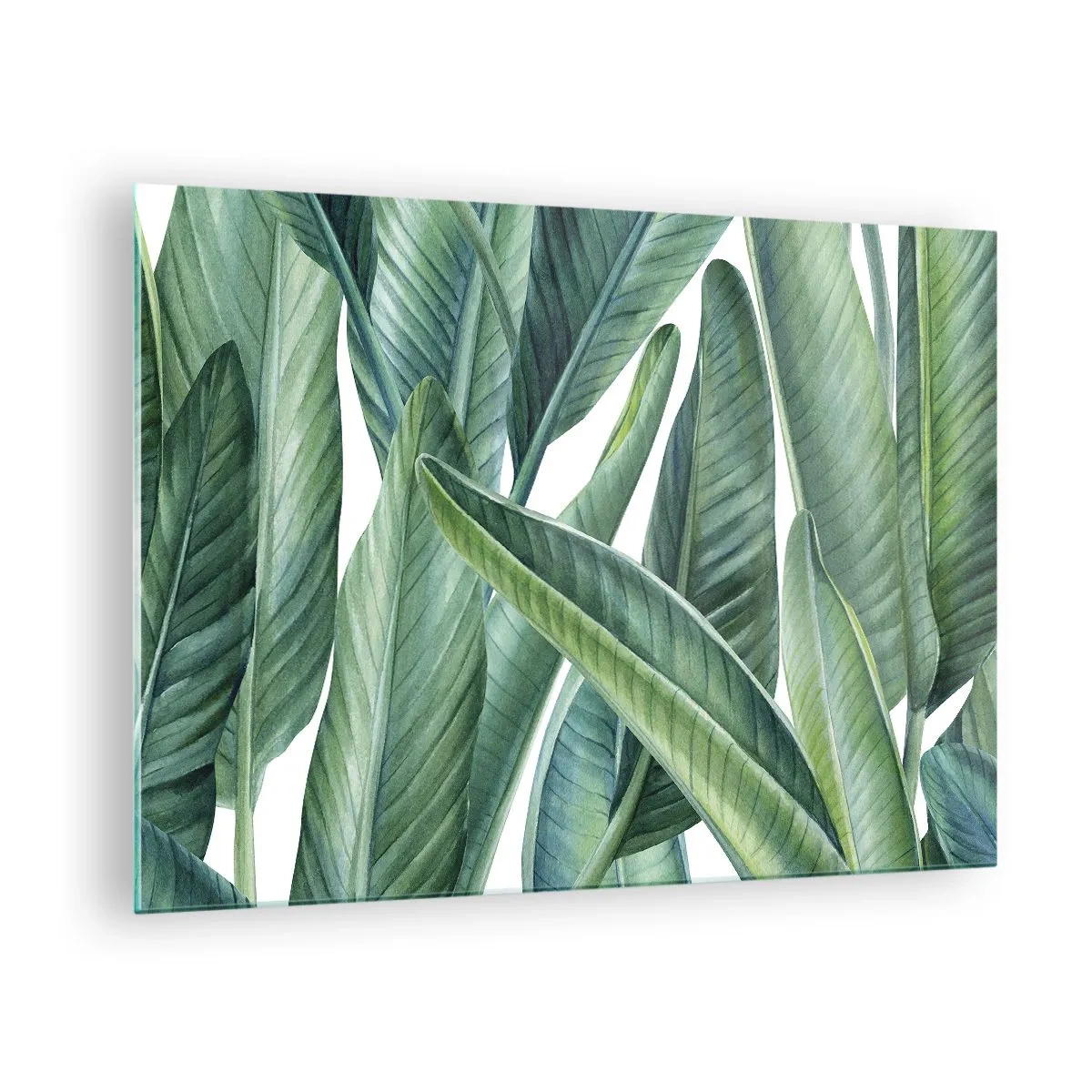 Cuadro sobre vidrio - Impresiones sobre Vidrio - Hojas tropicales en tonos verdes. - 70x50cm - Vegetación en estado puro - Decoración de pared moderna para salón y dormitorio ARTTOR