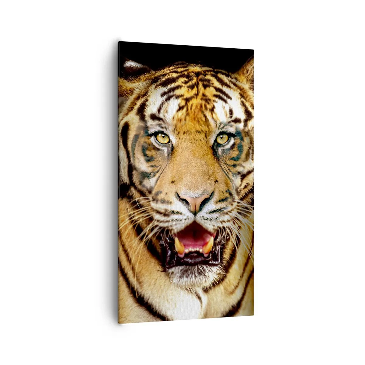 Cuadro sobre lienzo - Impresión de Imagen - Salvaje de corazón - 65x120 cm