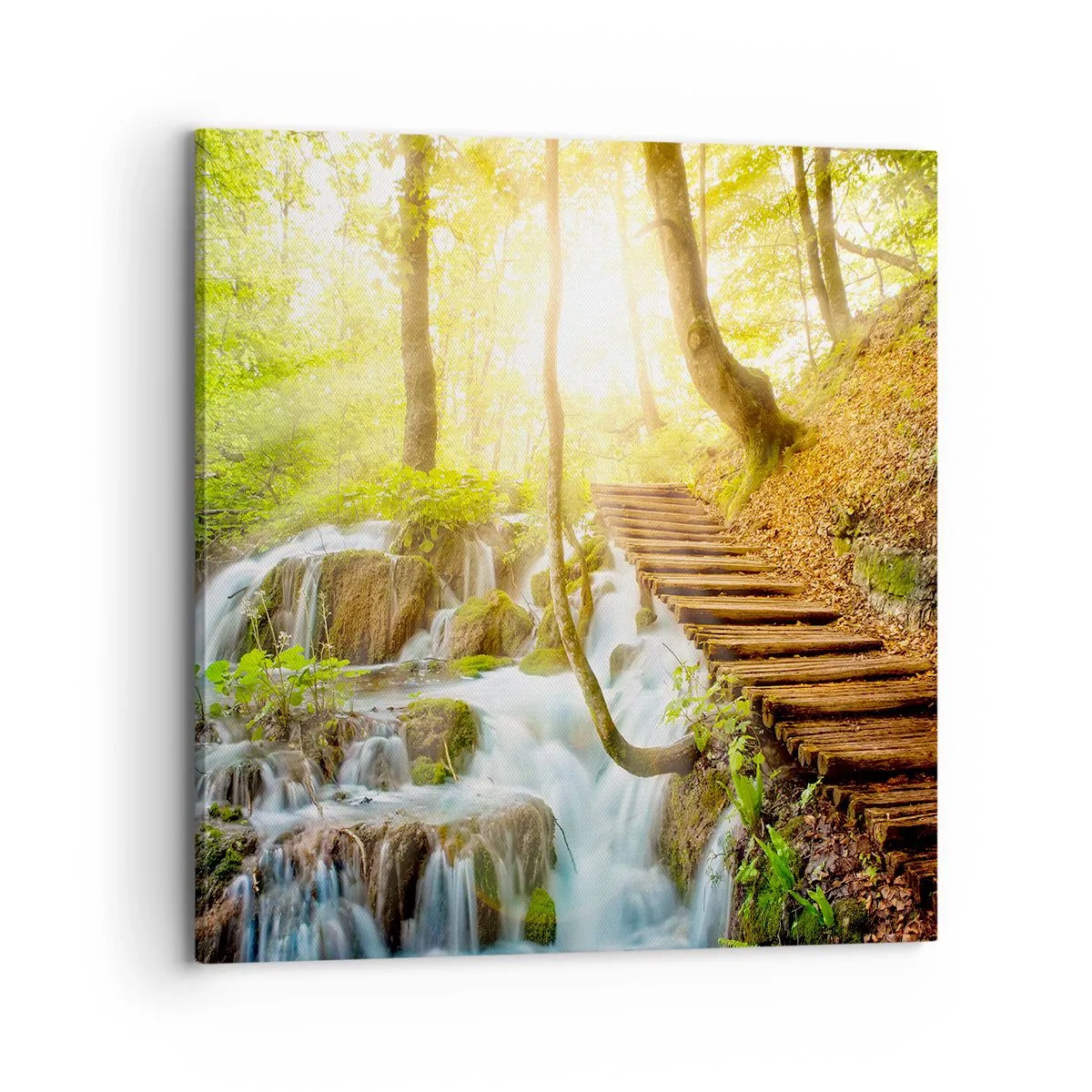 Cuadro sobre lienzo - Impresión de Imagen - El ansiado frescor - 70x70 cm