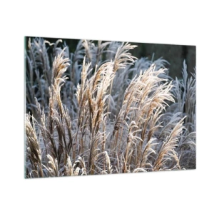 Cuadro sobre vidrio - Impresiones sobre Vidrio - Hierbas congeladas bajo el sol invernal - 100x70cm - Campos y campos - Decoración de pared moderna para salón y dormitorio ARTTOR