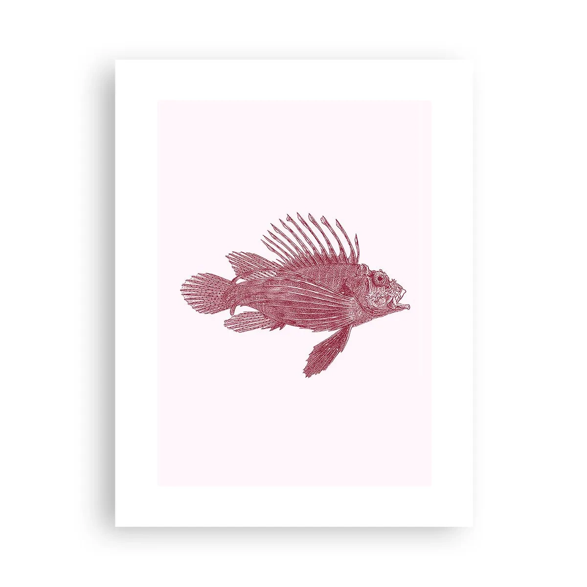 Póster - Un habitante de aguas exóticas - 30x40 cm