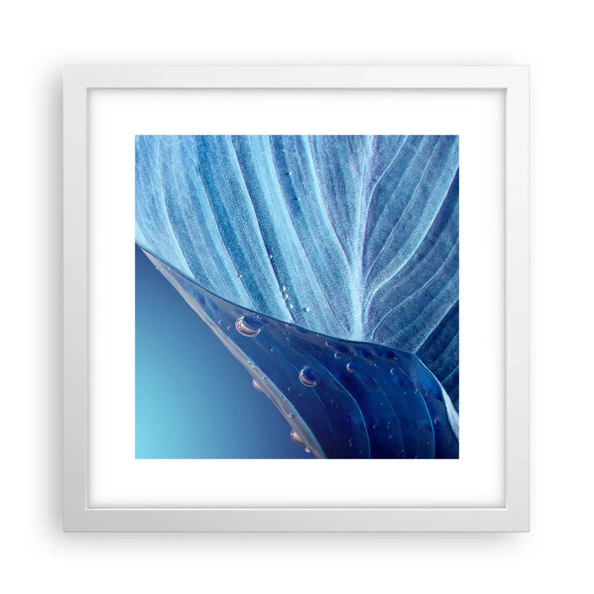 Póster en marco blanco - Gotas ocultas de azul - 30x30 cm