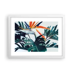 Póster en marco blanco - La jaula del pájaro colorido - 40x30 cm