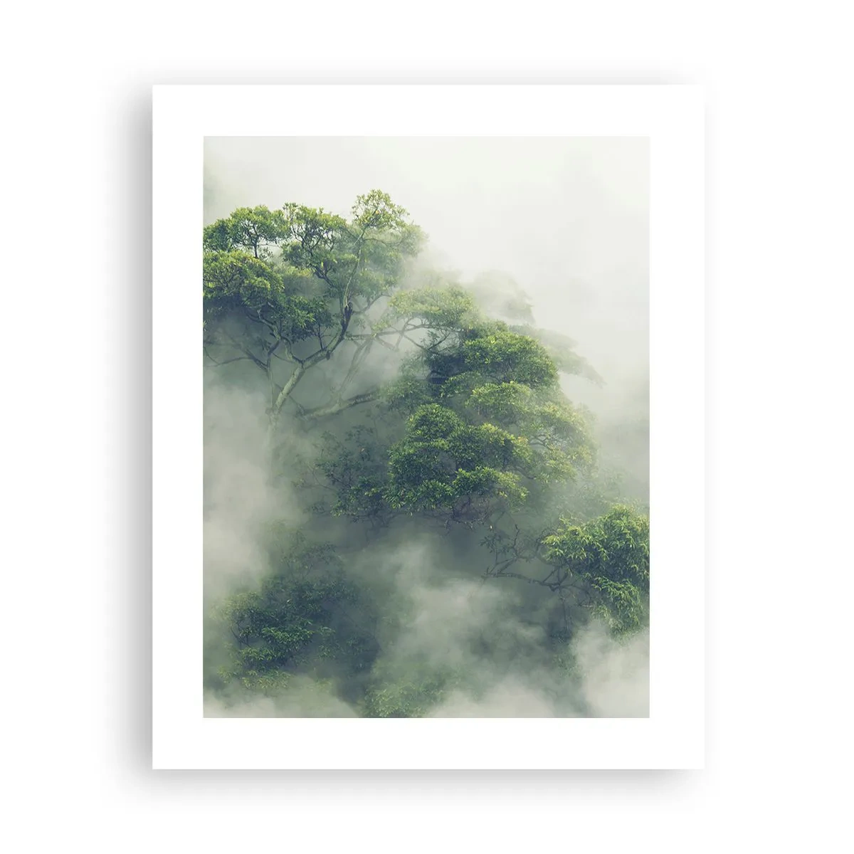 Póster - Envuelto en niebla - 40x50 cm