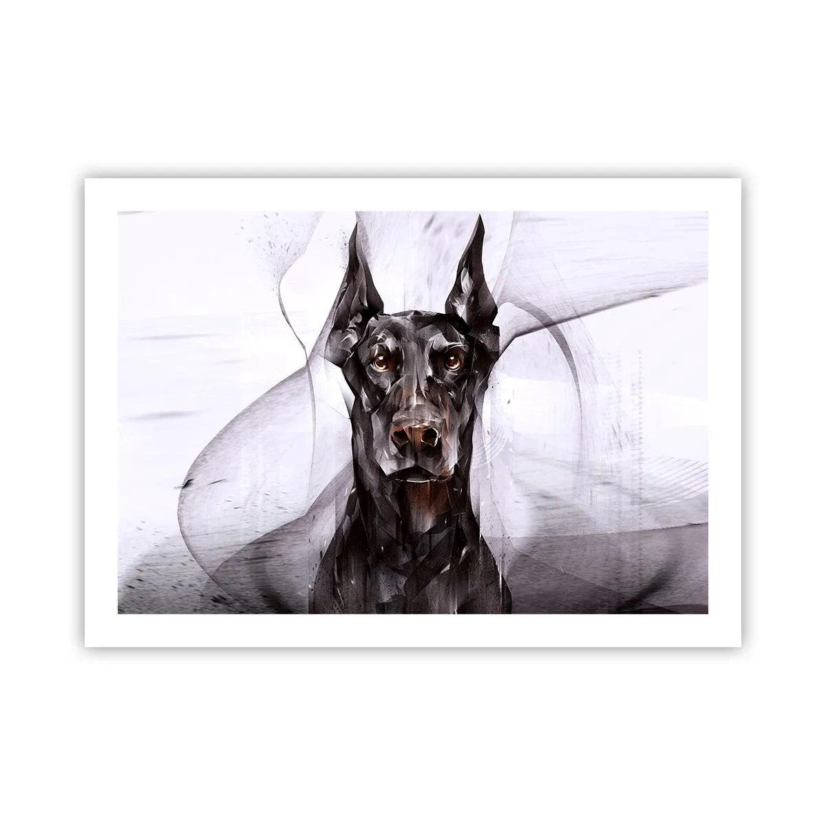 Póster - Nacido noble - 70x50 cm