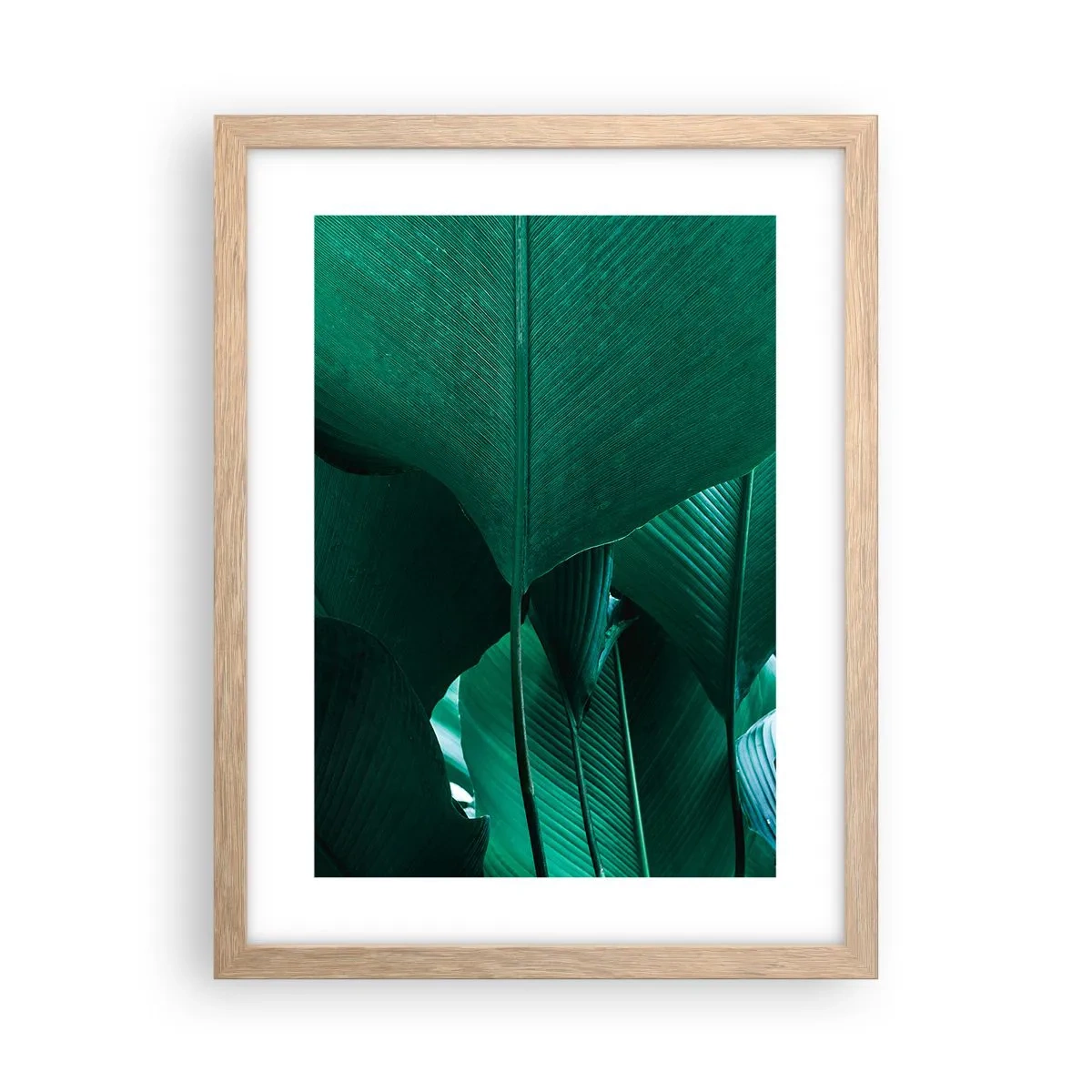 Póster en marco roble claro - De cara a la luz - 30x40 cm
