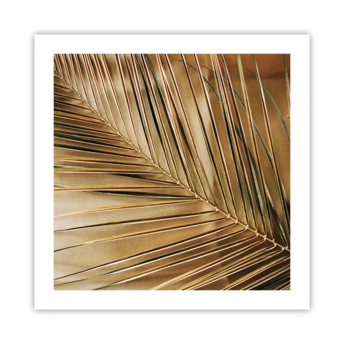 Póster - Una columnata natural - 50x50 cm
