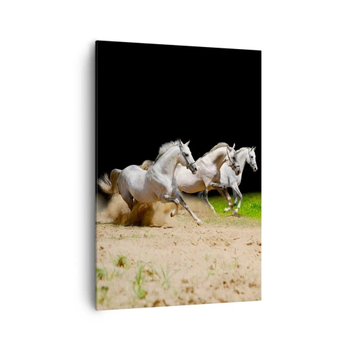 Cuadro sobre lienzo - Impresión de Imagen - Tres caballos blancos galopando sobre arena y hierba. - 70x100cm - Las tres Gracias - Decoración de pared moderna para salón y dormitorio ARTTOR